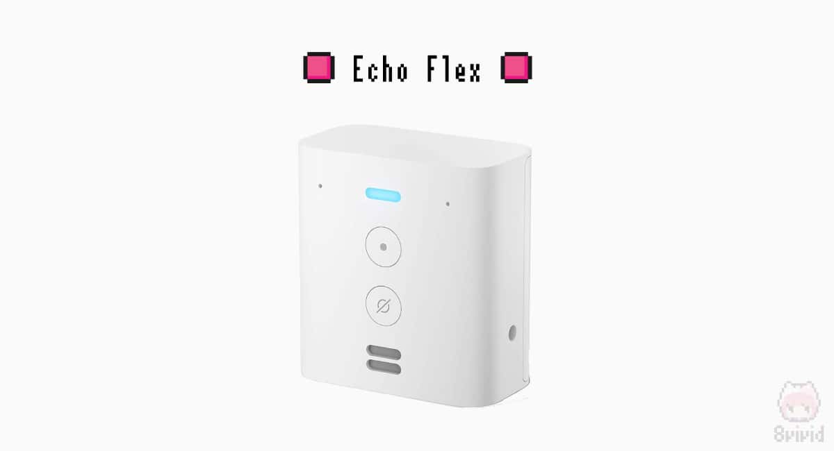Echo Flex