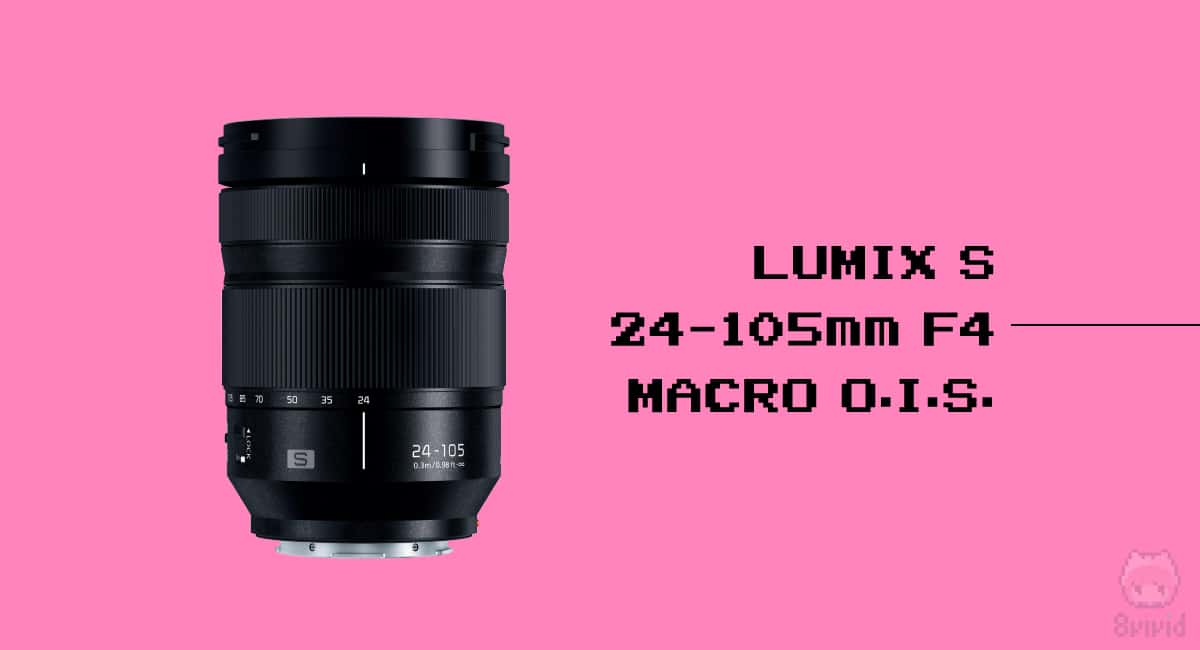 レンズはLUMIX S 24-105mm F4 MACRO O.I.S.。