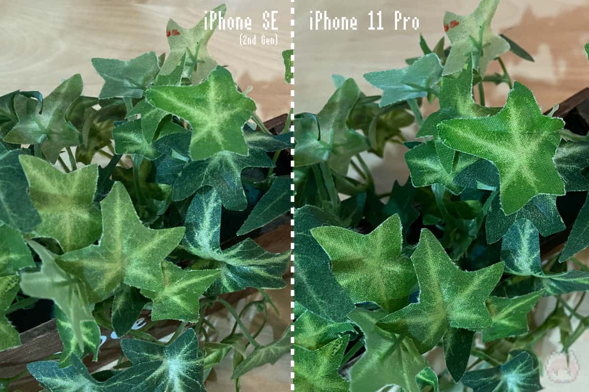 左：iPhone SE（第2世代） 右：iPhone 11 Pro