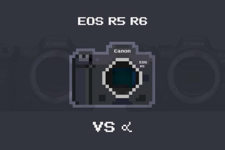 EOS R5・EOS R6 vs α9 II・α7 III 比較まとめ